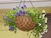Kitchen & Housewares : Hanging Basket 16in.
