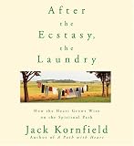 After the Ecstasy, the Laundry
