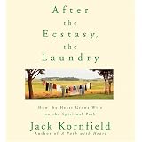 After the Ecstasy, the Laundry