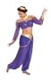 Princess Jasmine Costume Adult