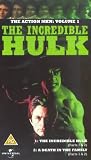The Incredible Hulk - Vol. 1 [UK IMPORT] - Bill Bixby