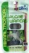 Tropical Algae Wafers