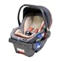Combi Connection Infant Car Seat Fiesta