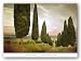 Cypress Road, Siena by Jimmy Williams 24