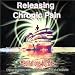 RELEASING CHRONIC PAIN: Meditations for Life