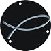 Christian Fish BK Graphical Gibson or Epiphone Switch Cavity Cover
