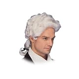Men's Colonial Wig - Standard