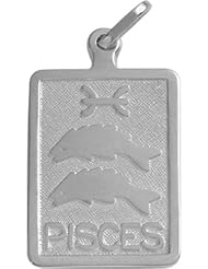 14 Karat White Gold Pisces Zodiac Pendant