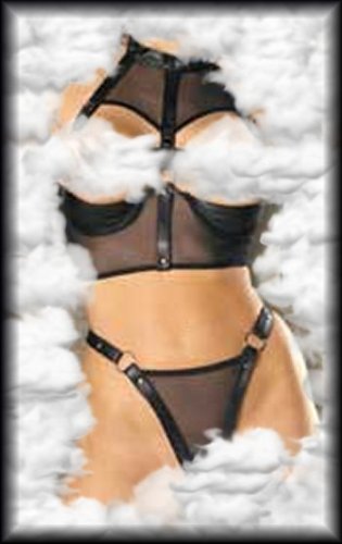 Leather and Mesh 1/4 Cup Bustier Adjustable Collar Mesh Back with Hook and Eye Closure Sizes: Small, Medium, Large or X Large Shown with Y2L 2 201 G String, Y2L H 102 Hat and Y2L W 200 Studded Leather Whip 41XDTZ7C67L Leather and Mesh 1/4 Cup Bustier Adjustable Collar Mesh Back with Hook and Eye Closure Sizes: Small, Medium, Large or X Large Shown with Y2L 2 201 G String, Y2L H 102 Hat and Y2L W 200 Studded Leather Whip