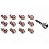Spectre Performance 46703 3 4 Header Bolt with Allen Tool by Spectre