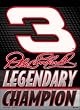 Dale Earnhardt 27"x37" Banner - NASCAR Sports Merchandise