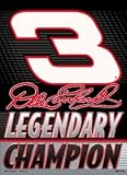 Dale Earnhardt Sr. Banner