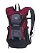Wenger Tribourg Illuminated Hydration Pack