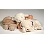 Baby Sleep Sheep & Friends Quiet Rattle Collection & Baby Love-Quiet Time CD