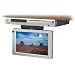 Audiovox VE1020 10.2-Inch Widescreen LCD Drop-Down TV and DVD Player