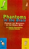 Phantoms in the Brain