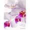 Get Started With Orchids