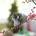 3" Holiday Hippo By Annalee