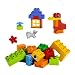My First LEGO DUPLO Set