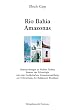 Rio Bahia Amazonas. Untersuchungen zu Hubert Fichtes Roman der Ethnologie mit einer lexikalischen Zusammenstellung zur Erforschung der Religionen Brasiliens