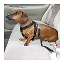 Guardian Safety Harness Lrg 28-36 In Girth Black