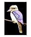 Australian Kookaburra Animals Giclee Poster Print by DanoZ, 20x24
