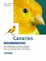 Canaries (Family Pet)