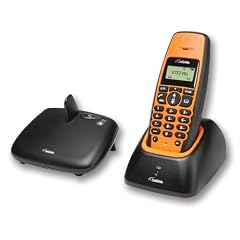 DeTeWe BeeTel 1000 Schnurloses Outdoor-DECT-Telefon -Spritzwassergesch�tzt - gepr�ft nach IP54 Standard- Reichweite von 700m