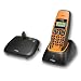 DeTeWe BeeTel 1000 Schnurloses Outdoor-DECT-Telefon -Spritzwassergesch�tzt - gepr�ft nach IP54 Standard- Reichweite von 700m