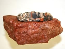 Magnaturals Food & Water Ledge Mojave - Magnetic Decor