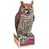 Dalen OW6 Gardeneer 16-Inch Molded Owl, 2-PACK