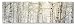 Accents de Ville Birches Canvas, 10 X 32"