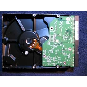 Western Digital Caviar Blue 500 GB Bulk/OEM Hard Drive 3.5 Inch, 16 MB Cache, 7200 RPM EIDE WD5000AAKB