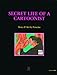 SECRET LIFE OF A CARTOONIST