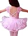 Little Girls' Gymnastic Ballet Leotard Dance Dress Tutu Skirt Party Costume 2-6T
