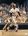 Rod Carew autographed Minnesota Twins 16x20 Photo