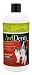 AvoDerm Natural Skin & Coat Formula Shampoo for Dogs and Cats - 16 Ounce
