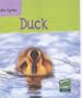 Duck (Read & Learn Life Cycles)
