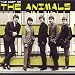 Most of the Animals