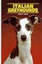 Italian Greyhounds