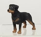 ROTTWEILER by Safari, Ltd.