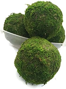 Green Moss Balls 4 pack 4.75 inches home decorative natural look