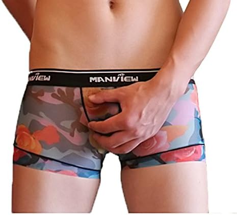 Men's Sexy Sheer See-through Underwear Boxers Briefs