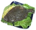 2 lbs. Fresh Flounder, Whole