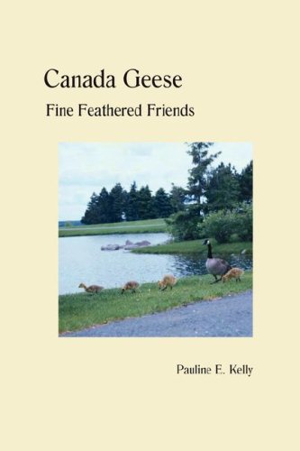 Canada Geese