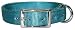 Double Ply Nylon Collar 1 in. x 26 in. Teal