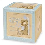Gund Bear Tales Block Bank Blue w Marker by Gund