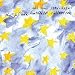 Gold Stars 1992-2002
