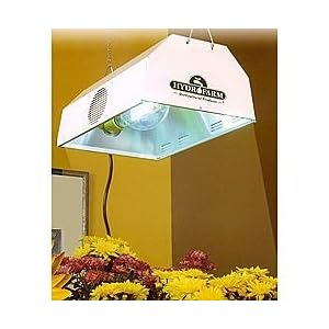 Hydrofarm DAHA40L 400-Watt Daystar System with Agrosun Halide Bulb by 