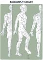 Acupuncture Chart